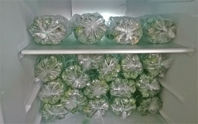 bảo quản nem chua Thanh Hóa trong tủ lạnh
